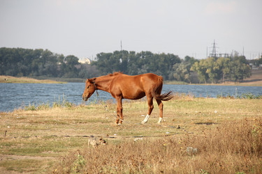 Similar image 856391