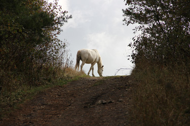 Similar image 856392