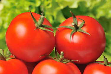 Similar image 856403