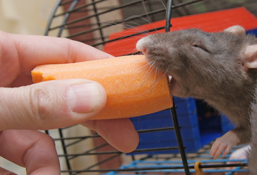 Similar image 856411