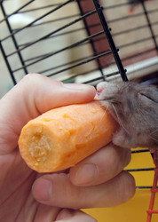 Similar image 856414