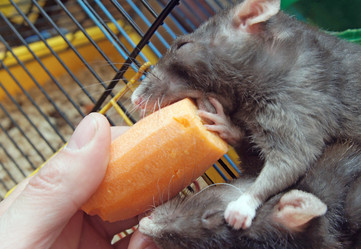 Similar image 856415