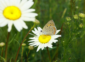 Similar image 856510