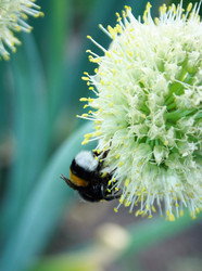 Similar image 856533