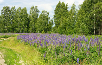 Similar image 856534