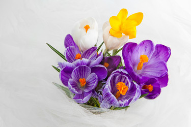 Similar image 856535