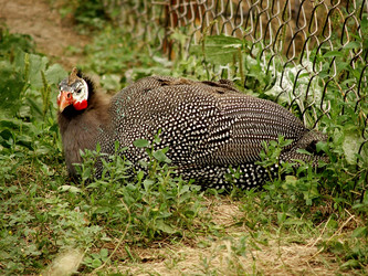 Similar image 856666