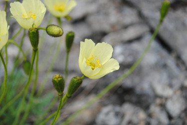 Similar image 856667