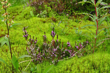 Similar image 856672