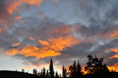 Similar image 856674