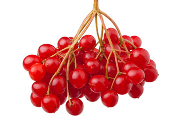 Similar image 856679