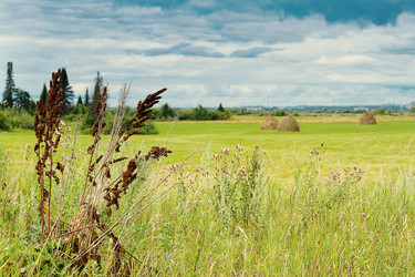 Similar image 856688