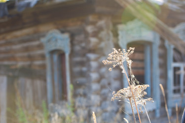 Similar image 856700