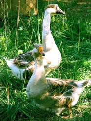 Similar image 856703