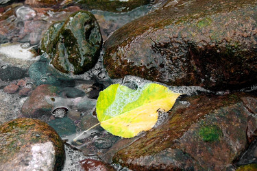 Similar image 856705