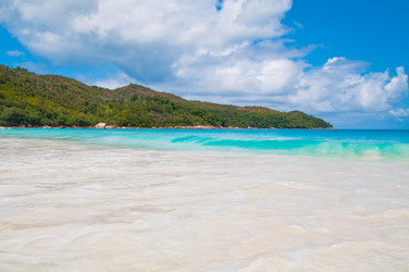 Similar image 856723