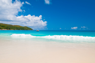 Similar image 856724