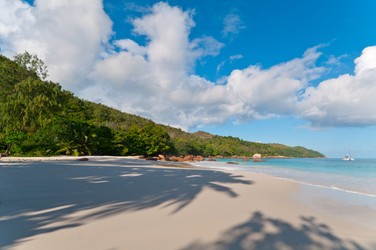 Similar image 856729