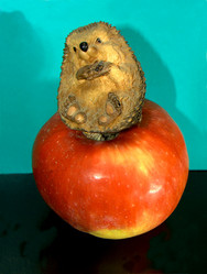 Similar image 856732