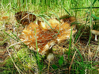 Similar image 856776