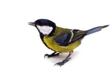 Similar image 856780