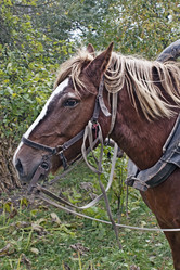 Similar image 856884