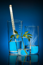 Similar image 856900