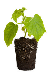 Similar image 856901