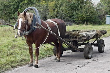 Similar image 856924