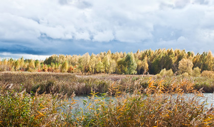 Similar image 856931