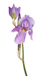 Similar image 856938