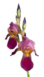 Similar image 856952