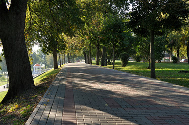 Similar image 856954