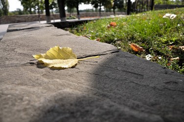 Similar image 856968