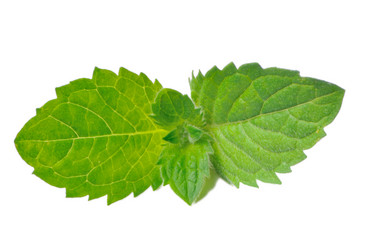 Similar image 857193