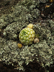 Similar image 857311