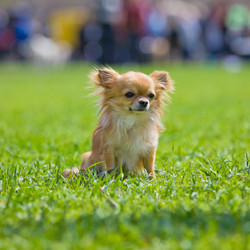 Similar image 857620