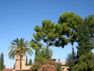 Similar image 857640