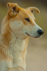 Similar image 857709