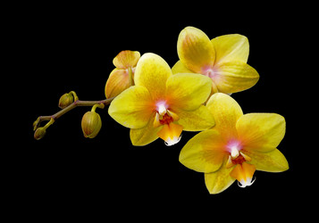 Similar image 857723