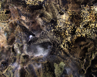 Similar image 857899