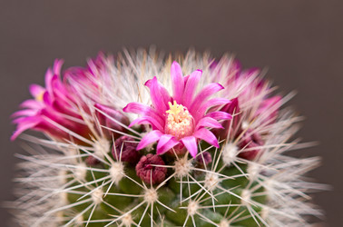 Similar image 857940