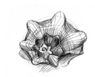 Similar image 858096