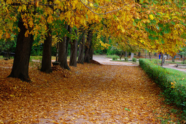 Similar image 858196