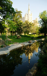 Similar image 858212