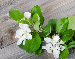 Similar image 858216