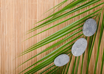 Similar image 858234