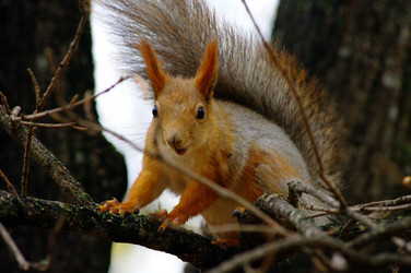 Similar image 858256