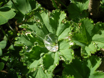 Similar image 858262