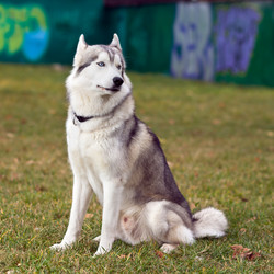 Similar image 858375